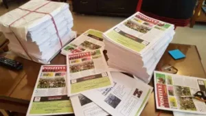 The final copies of the published paper